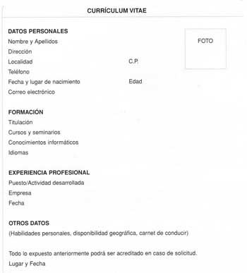 formato de curriculum vitae. formato de curriculum