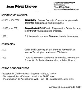 formato de curriculum vitae en espaol. Ejemplo Curriculum Vitae.