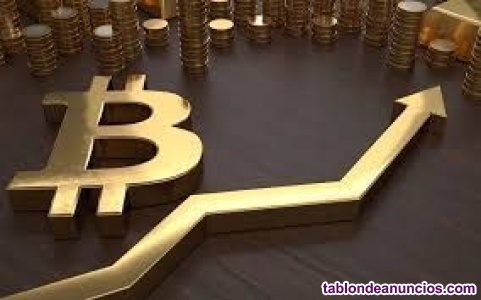 Curso de trading de bitcoin
