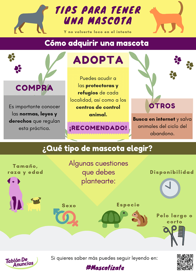 Recomendaciones para adquirir una mascota