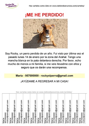 Plantilla de cartel para mascota perdida