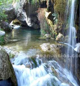 Entrenamiento Psicolog�co