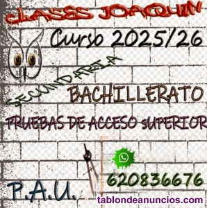 Imparto clases de Secundaria y Bachillerato