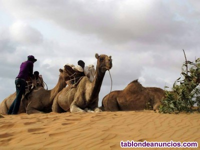 Viajes privados a senegal