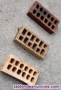 Ladrillos 1000 UNIDADES