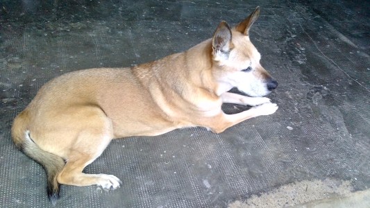 Tabln de Anuncios de Jordi