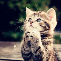 Tabl�n de Anuncios de MATIAS